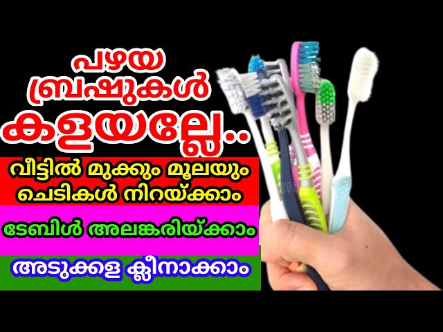 പഴയ ബ്രഷുകൾ കൊണ്ട് ചില കിടിലൻ ട്രിക്കുകൾ കണ്ട് നോക്കൂ | Toothbrush hacks| DIY home hacks