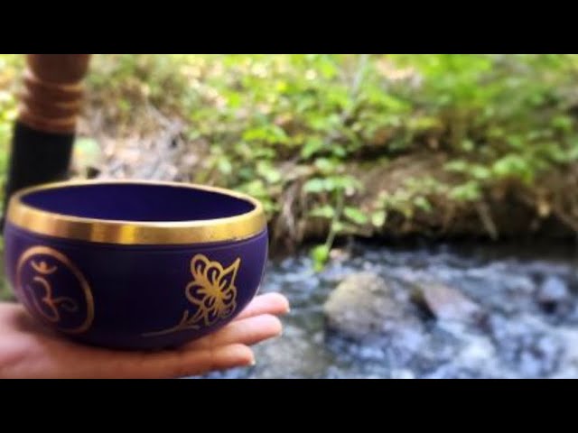 Water Stream Flowing in the Forest with Tibetan Singing Bowl Sounds