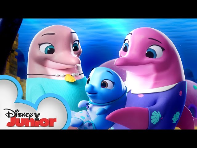 Pip and Freddy's Ocean Adventure 🌊 | T.O.T.S. | Disney Junior