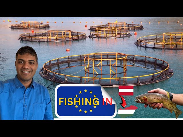 Fishing 🎣 in Europe- My wild fishing 🎣 story.