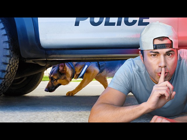 How to Escape a Police Sniffing Dog