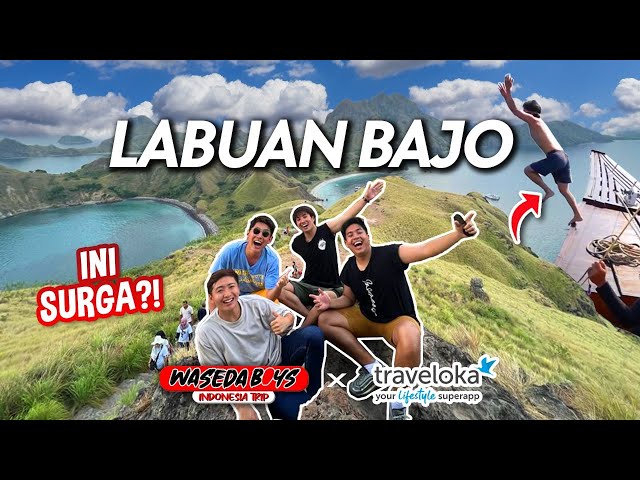 WASEDABOYS TRIP KE LABUAN BAJO! LOMPAT DARI KAPAL & PULAU PADAR | INDONESIA TRIP