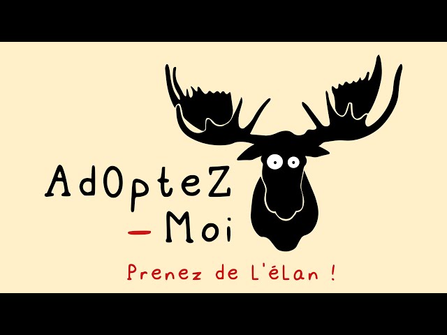 Adoptez-moi Fall collection 2023 - Aurore Favier