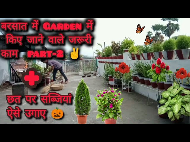 बरसात में Garden में ये काम ज़रूर करें। Gardening in Rainy season। #gardening #garden #plants