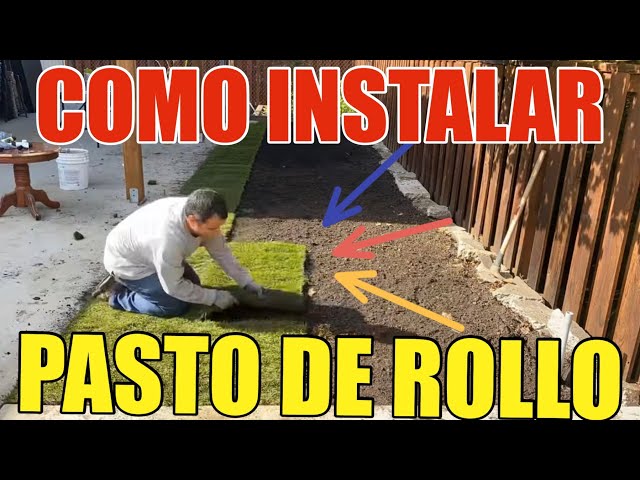 Como Instalar Pasto de Rollo Tu Mismo y Ahorrar Mucho Dinero Paso a Paso - How To Install SOD DIY