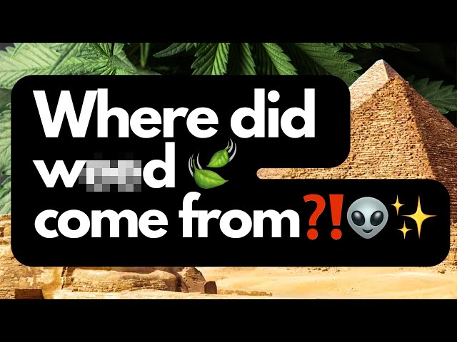 EP 4 - Where did 🍃 come from❓❗️👽 GET TO KNOW YOUR GREEN PT.1 #othersidelondon #cbd