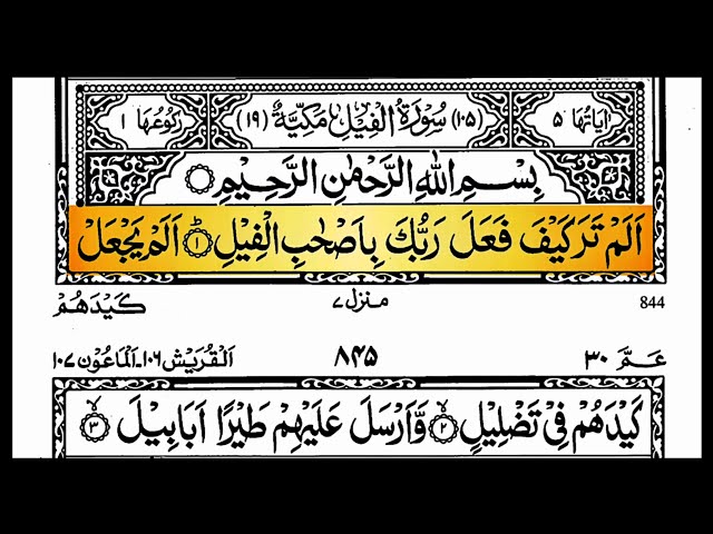 surah al feel surah | surah feel ki fazilat | last 20 surahs of quran |morning| Alam Tara ki Surat