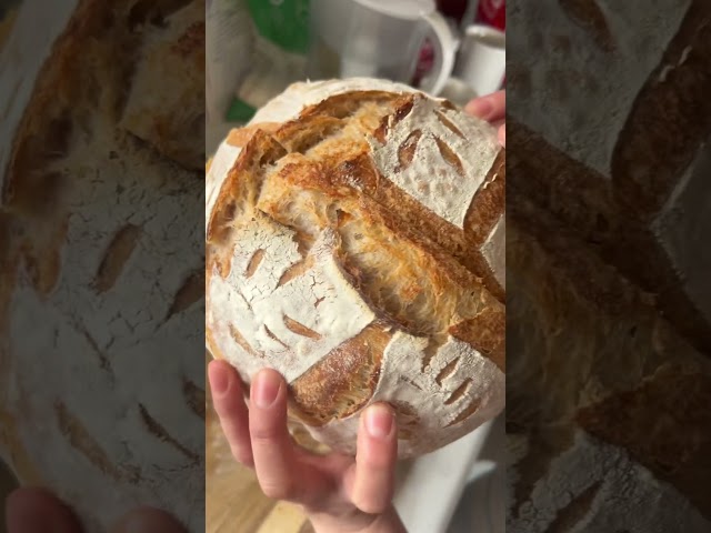 Sourdough ASMR 👀 #satisfying #asmr #shorts #viral #trending