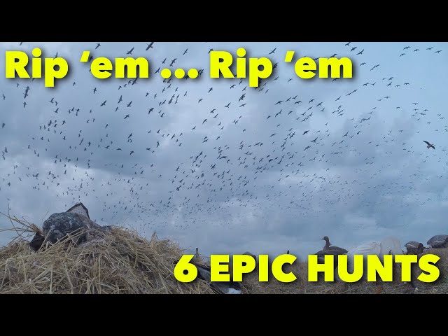 Hired to Hunt 6 EPIC HUNTS - Season 8 #11 ... Goose Hunting Duck Hunting ALBERTA