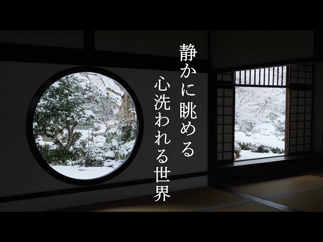 【大雪の京都】ただ雪が降る　静寂の世界｜上賀茂神社｜源光庵｜正伝寺｜常照寺