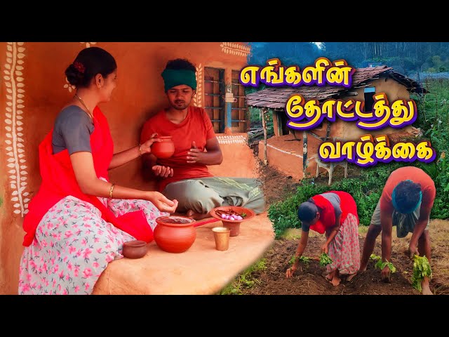 Our DAILY LIFE in VILLAGE FARM | RURAL LIFE in MUD HOUSE | Tamil Native Farmer