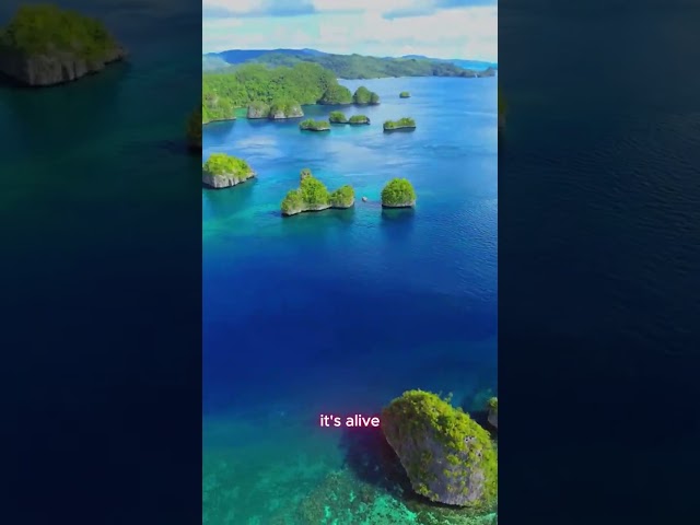 The Enigmatic Surigao Blue Lagoon