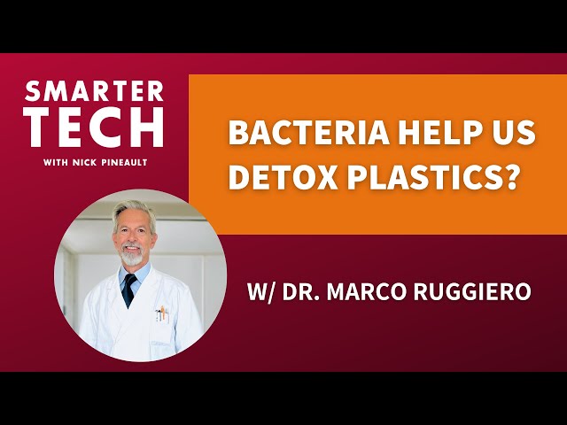 Detox From Plastics & Reset Your Microbiome w/ Dr. Marco Ruggiero