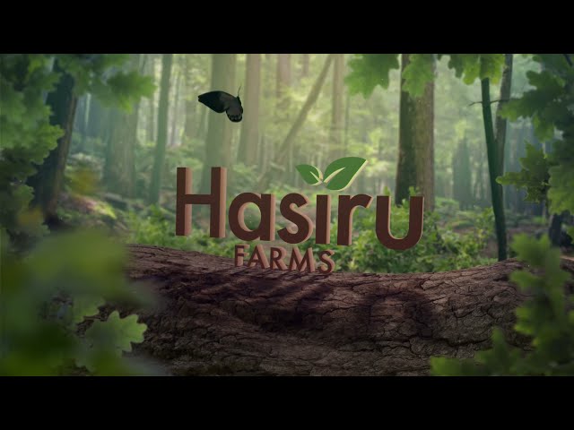 Hasiru Farms | Managed farmland company | Agriculture |