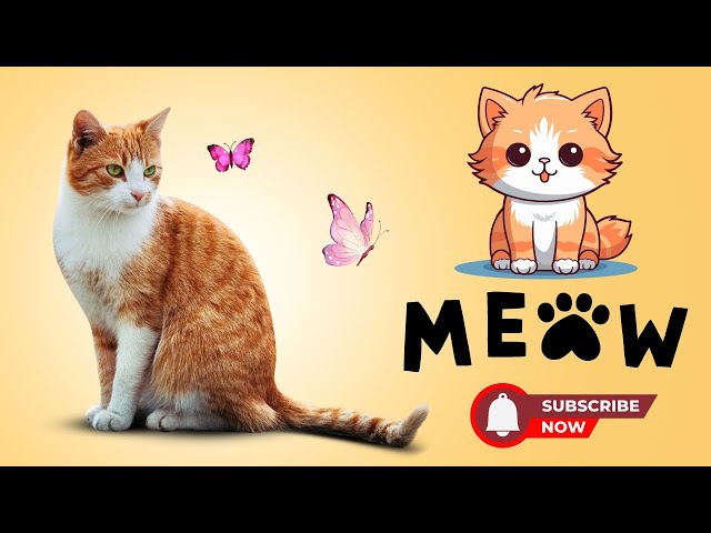 Hilarious Cat Adventures | AI-Generated Fun! | Cat AI VIDEO #cat #catlover