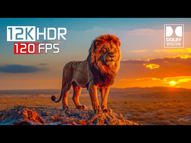 Amazing Animals: Ultimate Wild Animals 12K HDR 120fps Dolby Vision