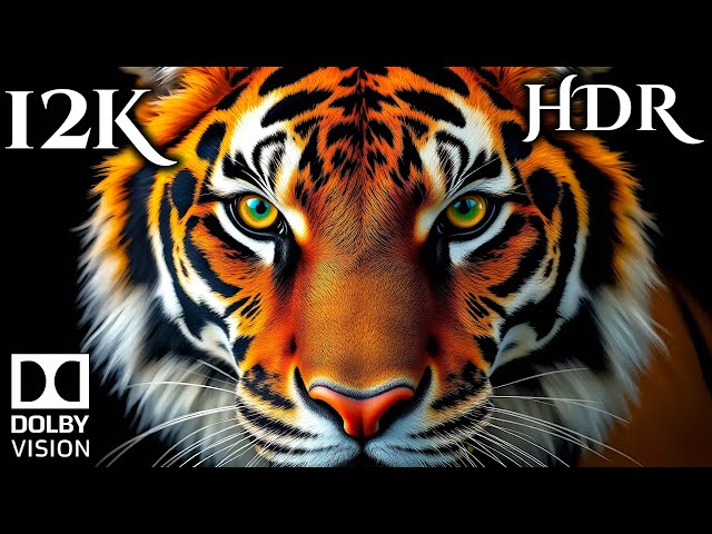 12K Video ULTRA HD 240 FPS • Relaxing Music #12K #ANIMALS