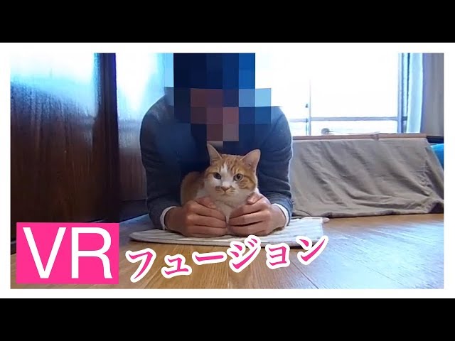 【VR】かりんちゃん(猫)とフュージョンするところをVR体験してみよう！