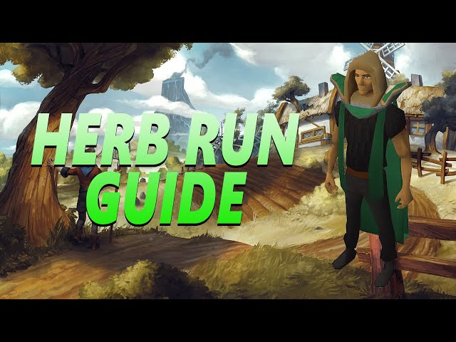 OSRS Best Herb Run Guide 2020 | Best herb run in osrs