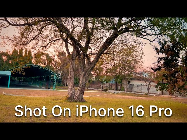 Shot On iPhone 16 Pro | iPhone Nature Cinematic Video (4k 60fps)