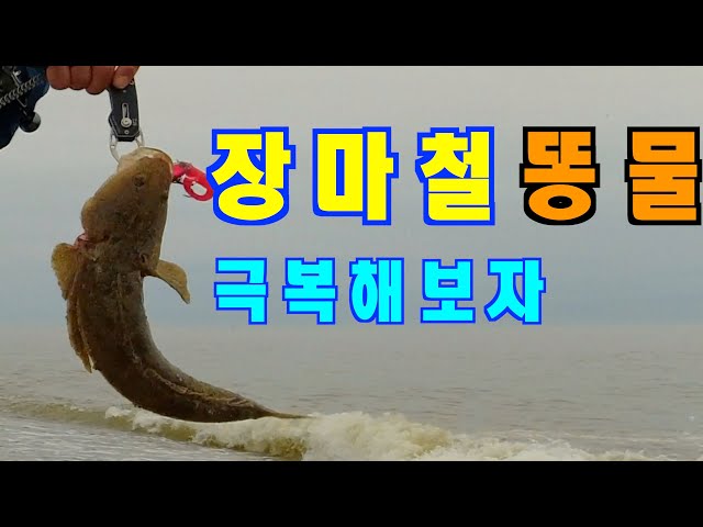 장마철 서프루어 울진 진복리 해변