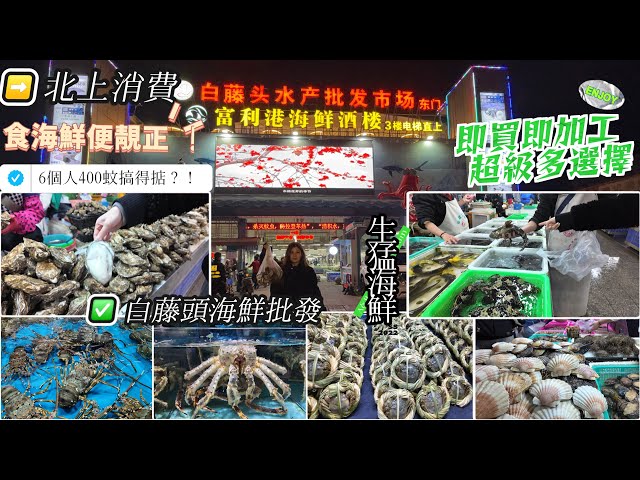 珠海白藤頭海鮮市場|6個人400蚊食到飽？港人北上消費好去處|生猛海鮮便靚正|500間鋪任君選擇|漁船出貨|即買即加工|90年代最大海鮮批發市場|海鮮自由|鮑魚象拔蚌|帝王蟹|珠海一日遊|珠海自駕遊|