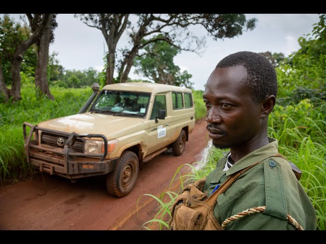 From conflict to conservation: Protecting South Sudan's wildlife