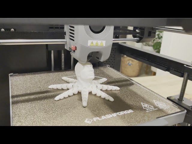 Flashforge Adventurer 5M 3D Printer - How to Print