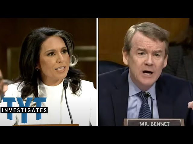 Witness This VIRAL Moment From Tulsi Gabbard's Confirmation Hearing