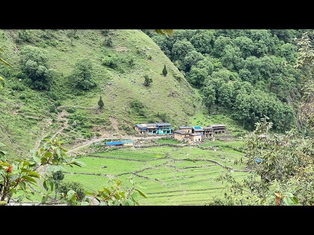 Nepali Mountain Village Life || Rainy Season is Back|| IamSuman