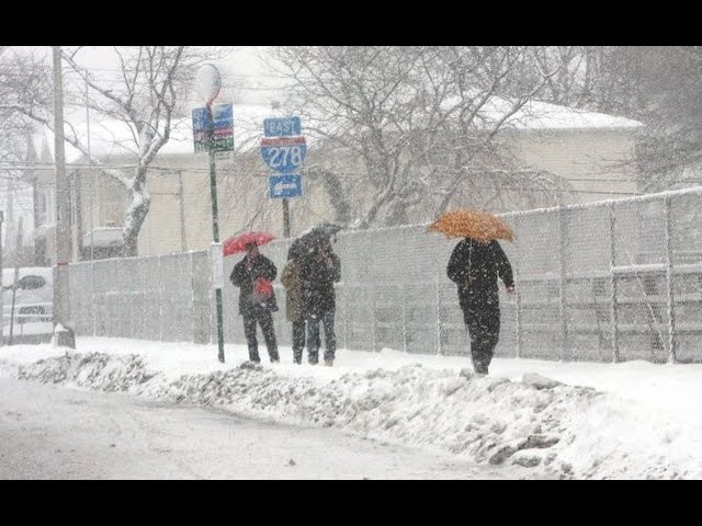 Mattolina Playing Mario Kart on A Snow Day in Staten Island