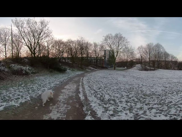 gopro fusion 360° - walking with dog