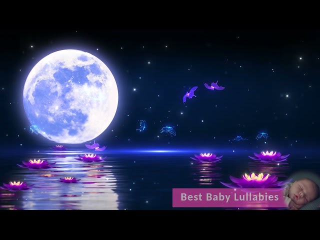 Canciones de Cuna Música Para Bebês Música Para Bebê Dormir Nighty Night Lullaby