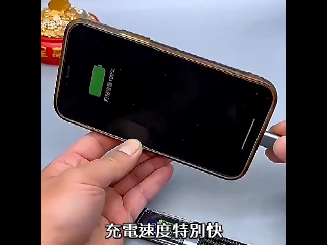 中央100一拖三充電線