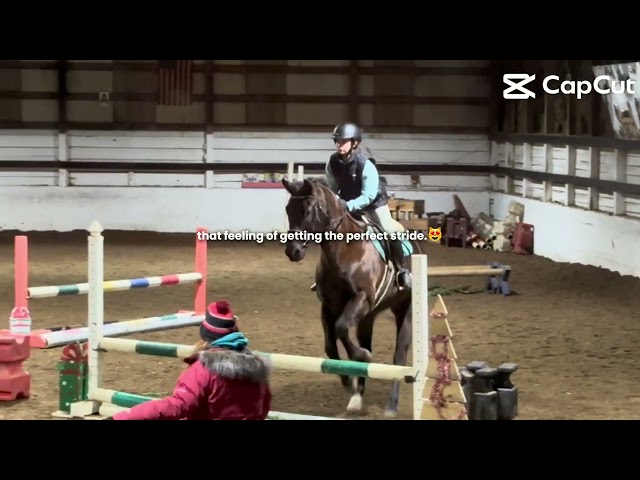 Hehe #horse #fypシ゚ #shorts #showjumping