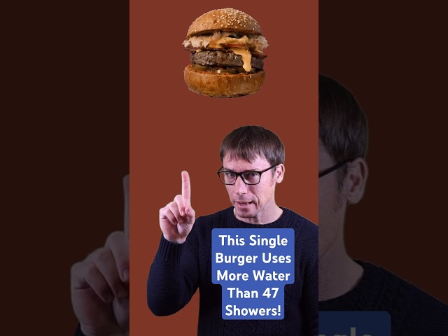 This Single Burger Uses More Water Than 47 Showers!