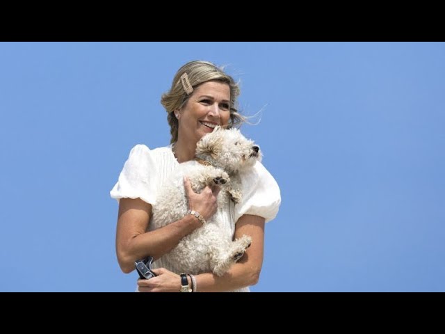 Dutch royals - AND Queen Máxima's toy poodle Mambo! - to the beach