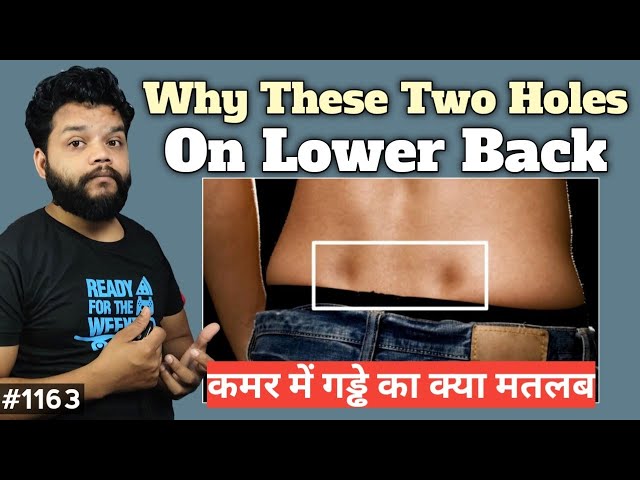 कमर पर ये दो गड्डे क्यों होते हैं | Why These Two Holes On Lower Back | Venus Holes In Hindi