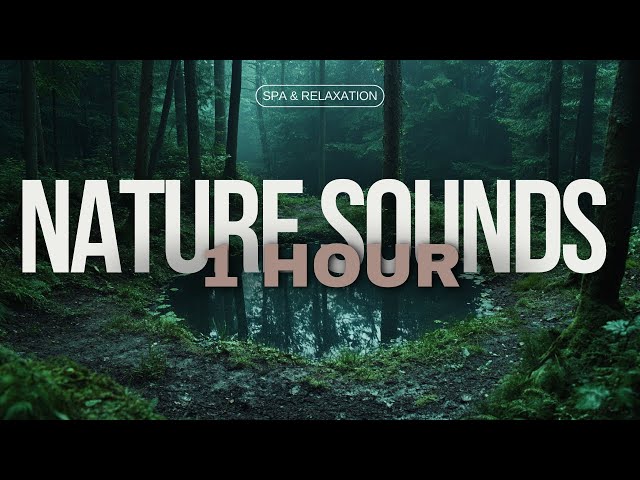 1 Hour of 432Hz Spa Music for Relaxation with Nature Sounds