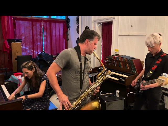 Jamison Williams/ Patrizia Finzi/ Ipek Eginli live at Never Ending Books,  August 18, 2024