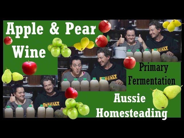 Apple Pear Wine - Primary Fermentation