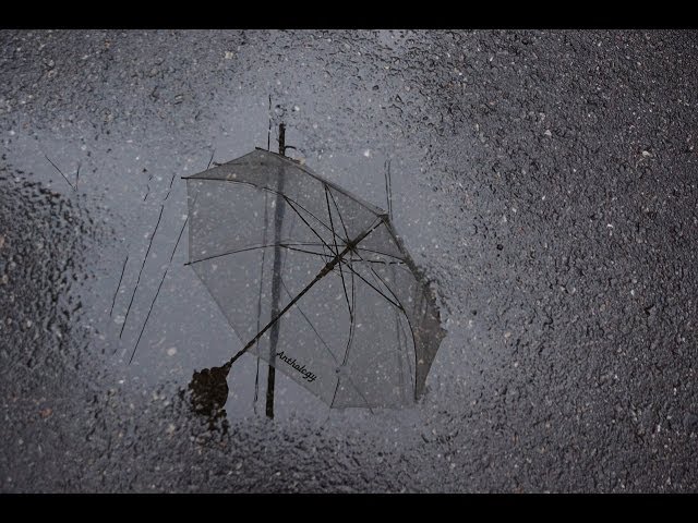 새벽 비 그친 골목길 풍경[호미숙 자전거여행]rainy day