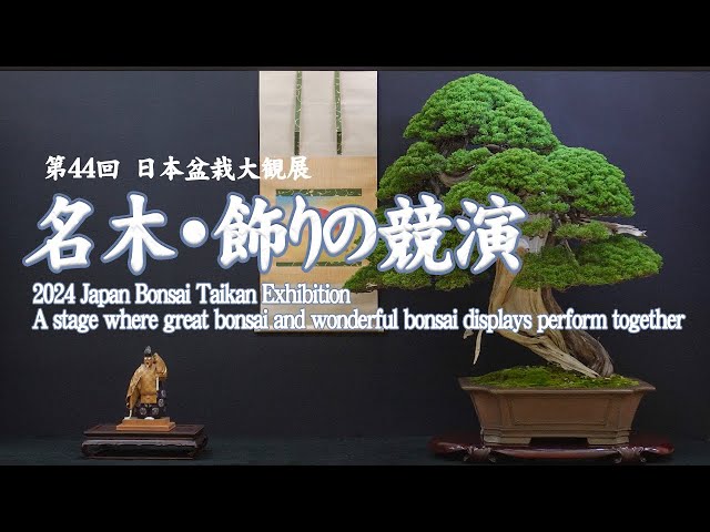 The 44th Bonsai Taikan Exhibition-Famous bonsai and bonsai display gathered in the capital of Kyoto-