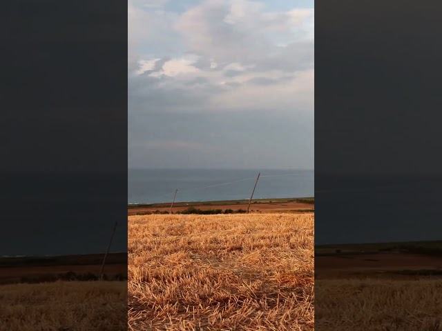 The preserved and wild coast of Molise, Italy #sea #asmr #relax