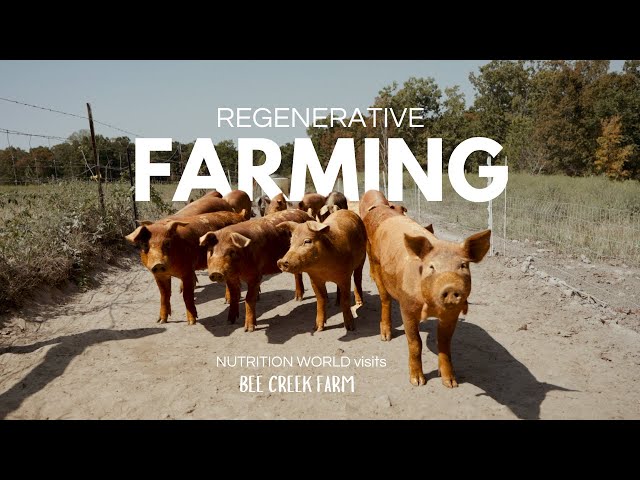 Regenerative Agriculture | What A Truly Regenerative Farm Looks Like