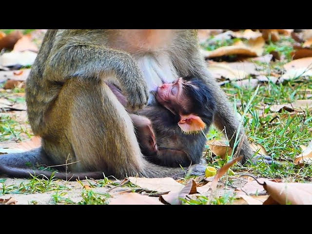 Another StyleTo Feed Milk To Baby Untile Deeply Sleep