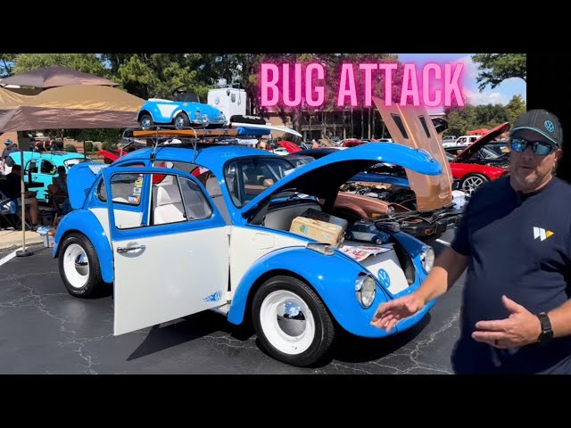 Restored VW Beetle Shines at the Car Show!