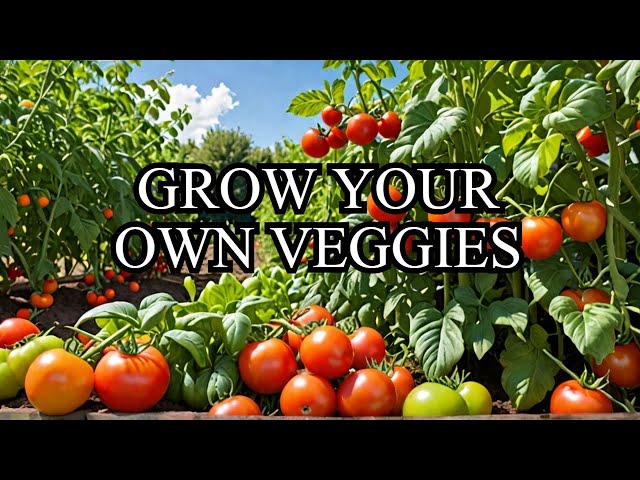 Why You Should Start Your Vegetable Garden Right Now!