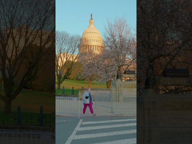 Best Shots from Washington DC Virtual Tour - Onewheel Ride in the Capital of USA - #Short 2