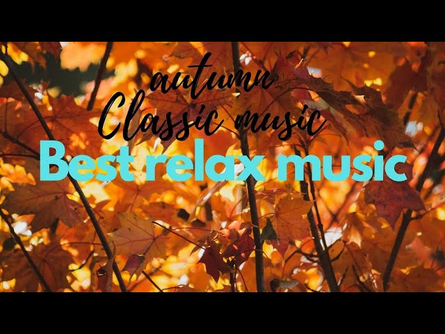 3 hours best relax classic music for deep sleep and stady  + piano + calm music